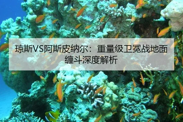 琼斯VS阿斯皮纳尔：重量级卫冕战地面缠斗深度解析