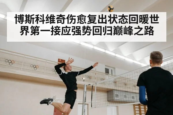 博斯科维奇伤愈复出状态回暖世界第一接应强势回归巅峰之路