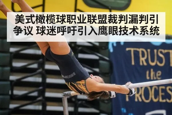 美式橄榄球职业联盟裁判漏判引争议 球迷呼吁引入鹰眼技术系统
